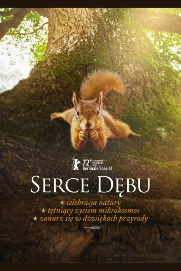 Serce Dębu